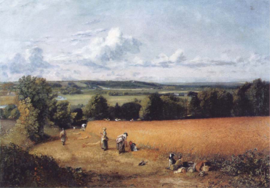 John Constable The wheatfield